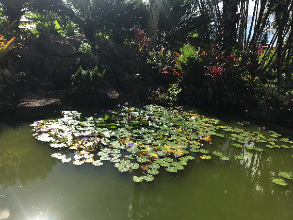 Ландшафтный дизайн территории