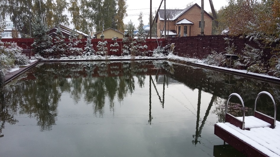 Зимний пруд для рыбы